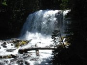 Summer '06 Sunriver 296 